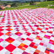 Illustration for article titled The Worlds Biggest Picnic Blanket Is Growing in the Swiss Countryside